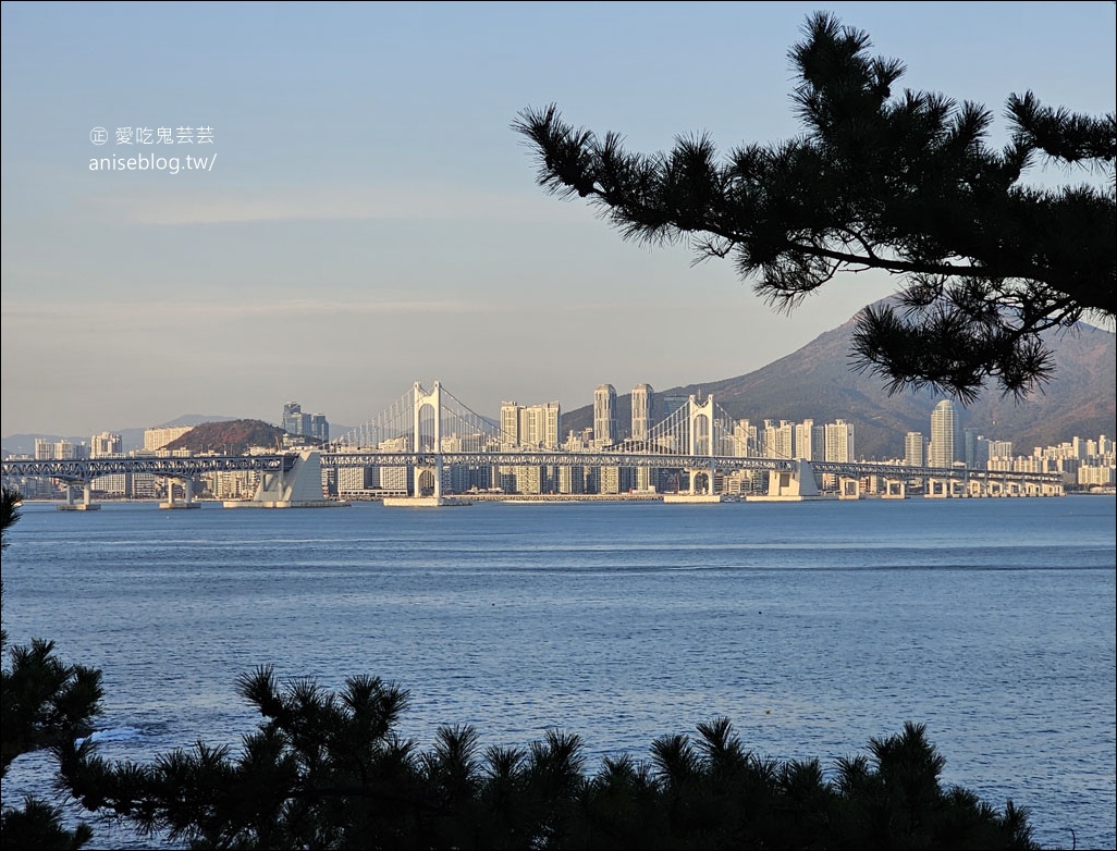 釜山景點 | 五六島天空步道+二妓台海岸散步路線