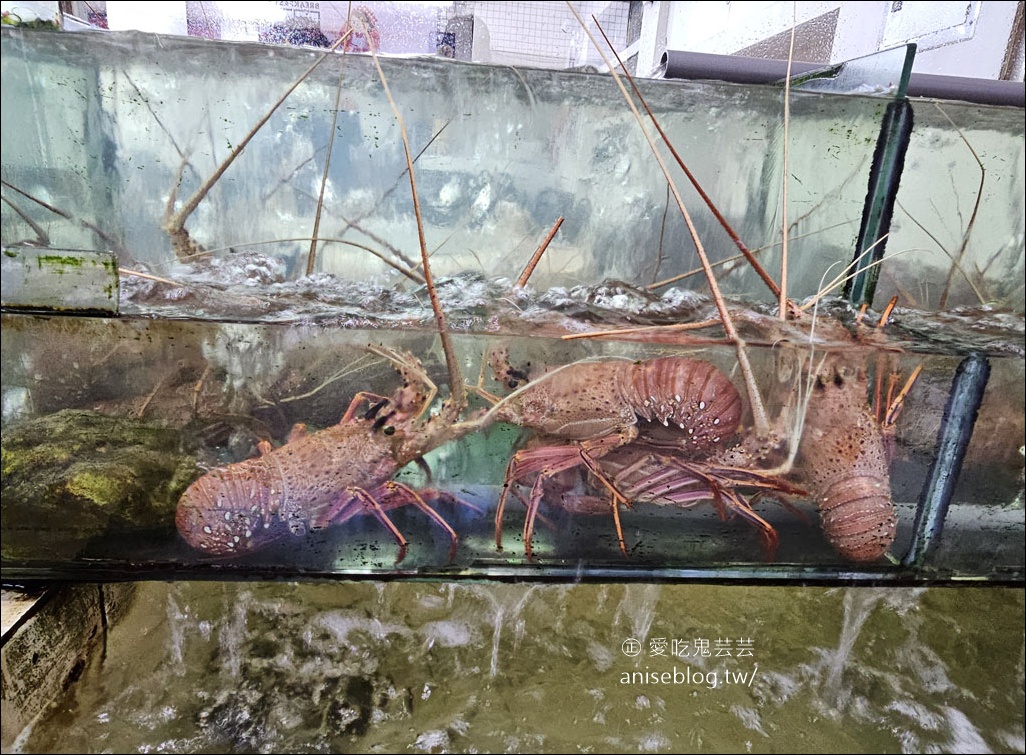 雙溪大眾餐館,龍蝦炒菜脯招牌必點 (外掛海山餅舖、蔡冰) (文末菜單) 雙溪大眾餐館,龍蝦炒菜脯招牌必點 (外掛海山餅舖、蔡冰) (文末菜單)