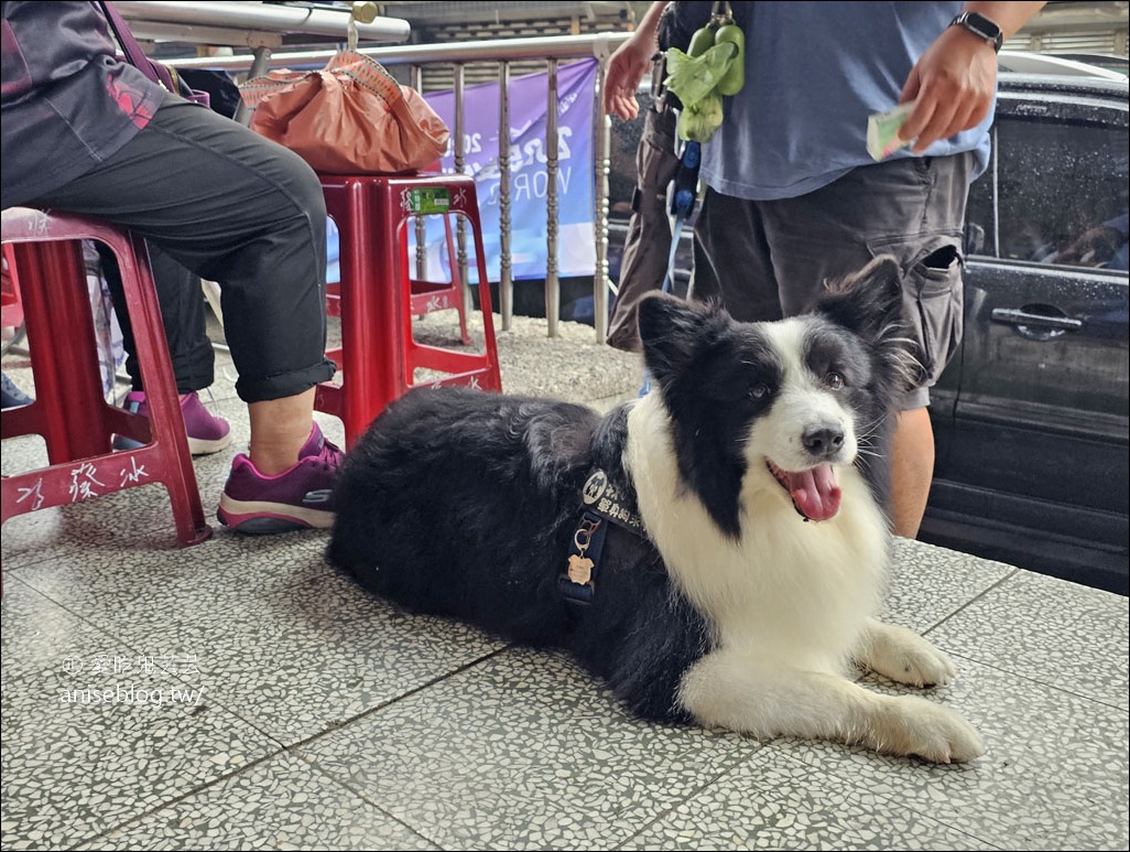 雙溪大眾餐館,龍蝦炒菜脯招牌必點 (外掛海山餅舖、蔡冰) (文末菜單) 雙溪大眾餐館,龍蝦炒菜脯招牌必點 (外掛海山餅舖、蔡冰) (文末菜單)