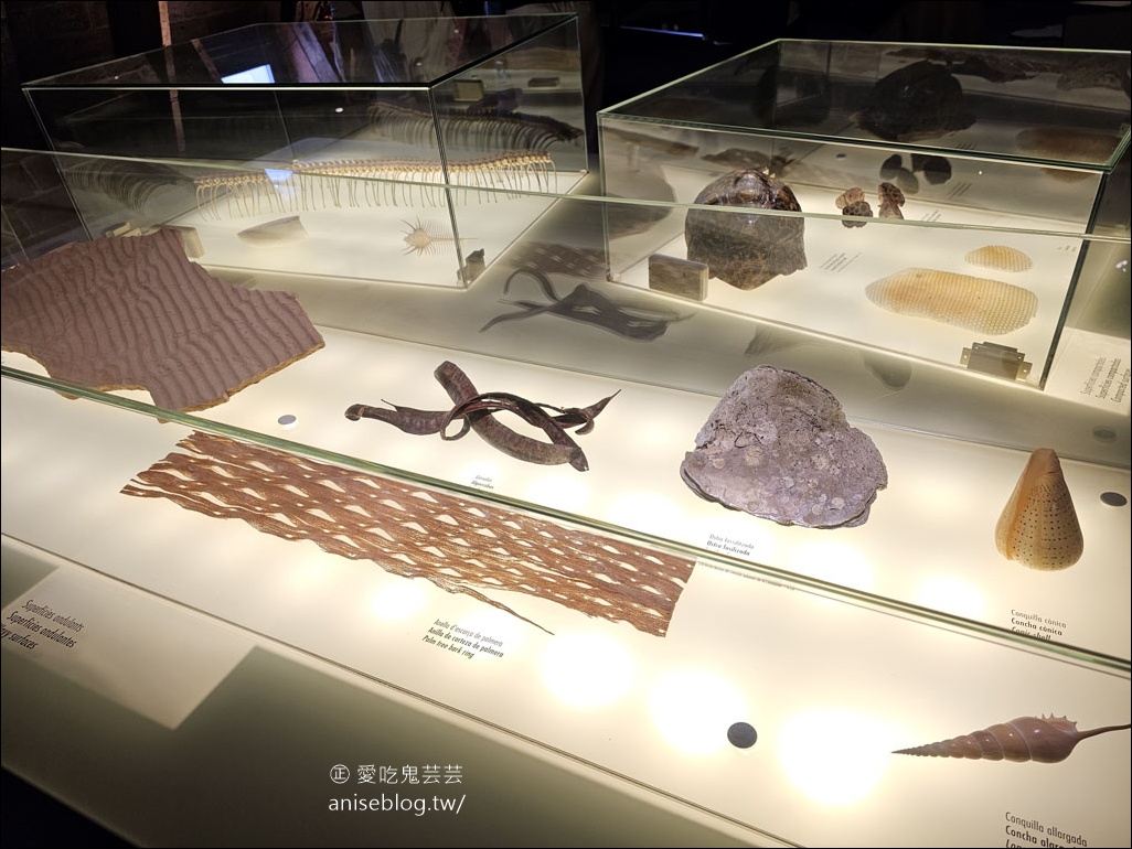 米拉之家Casa Milà，高第最具代表性的建築之一 (世界文化遺產)