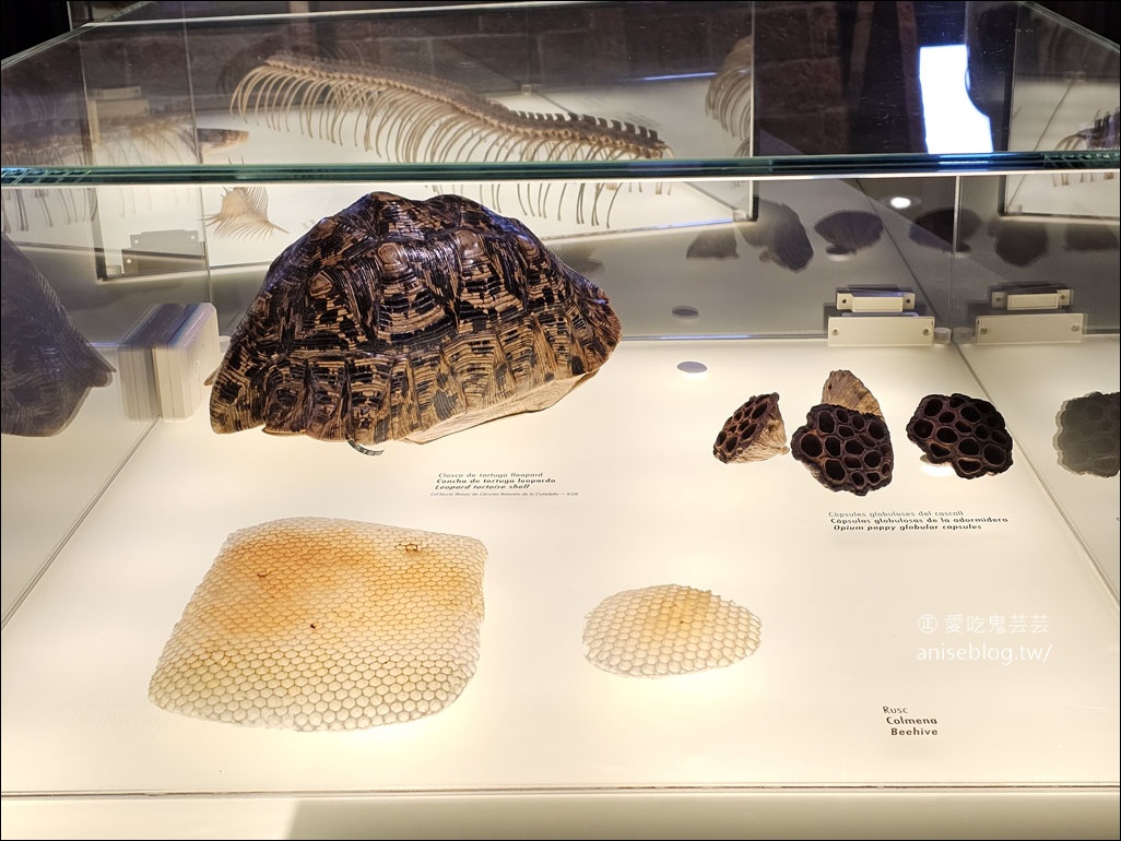 米拉之家Casa Milà，高第最具代表性的建築之一 (世界文化遺產)