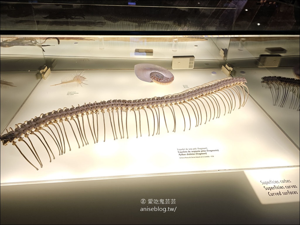 米拉之家Casa Milà，高第最具代表性的建築之一 (世界文化遺產)