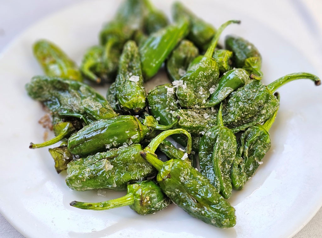 巴塞隆納美食 | 西班牙料理、加泰隆尼亞料理6家推薦