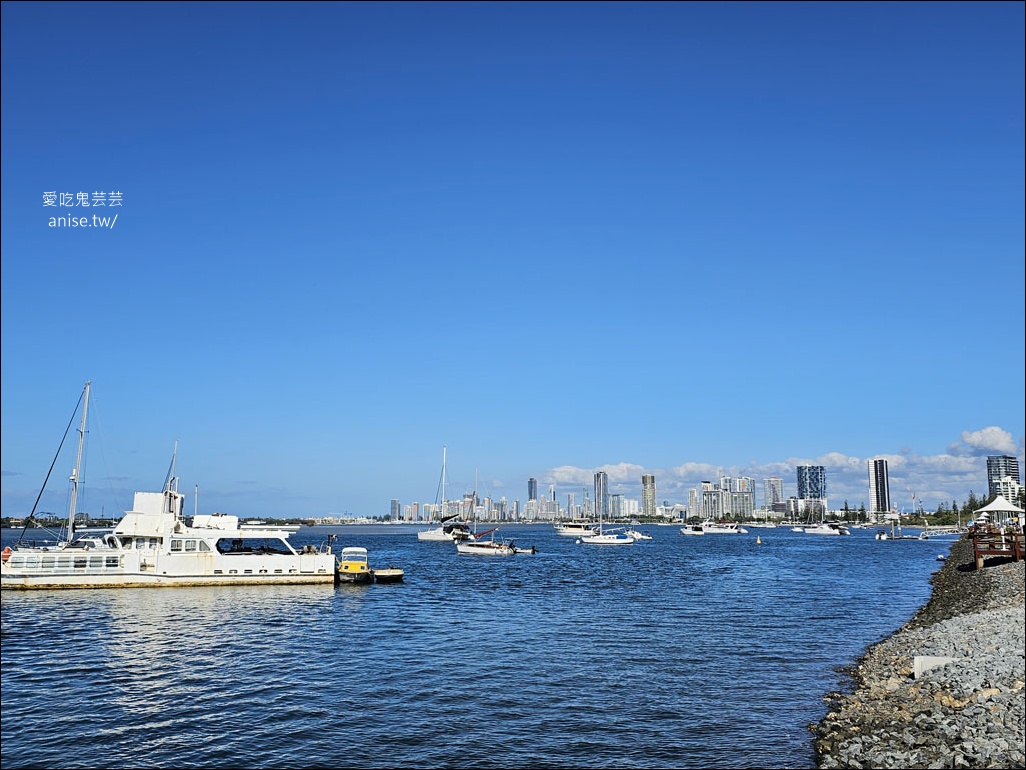 黃金海岸半日遊 | 鵜鶘餵食秀、海港城outlet、野生袋鼠、沙灘變斷崖