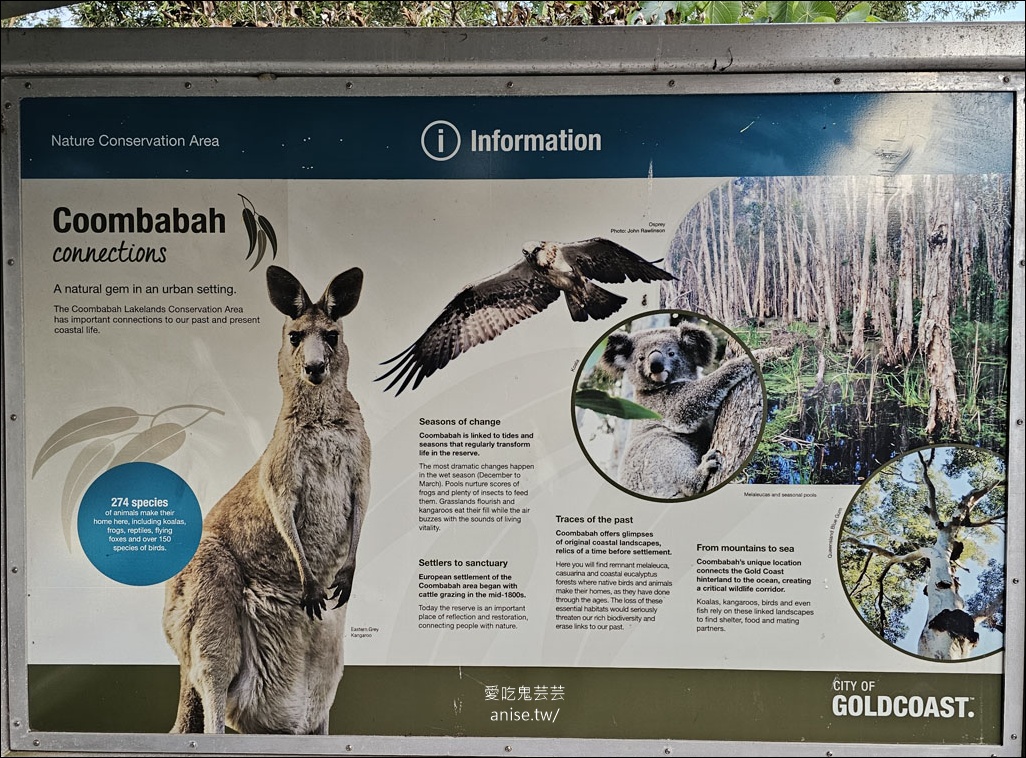 黃金海岸半日遊 | 鵜鶘餵食秀、海港城outlet、野生袋鼠、沙灘變斷崖