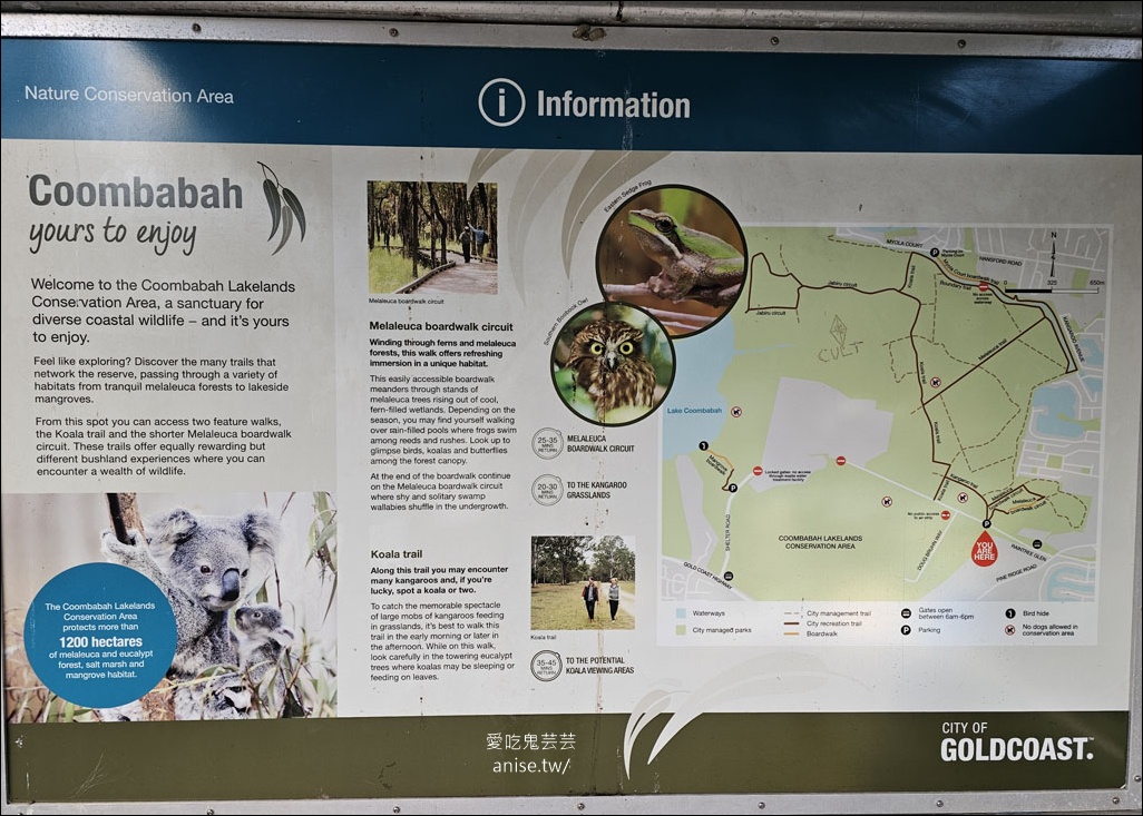 黃金海岸半日遊 | 鵜鶘餵食秀、海港城outlet、野生袋鼠、沙灘變斷崖