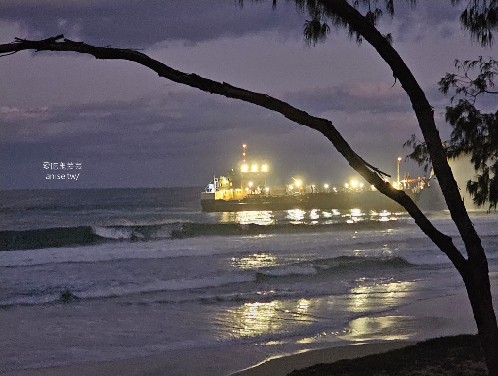 黃金海岸半日遊 | 鵜鶘餵食秀、海港城outlet、野生袋鼠、沙灘變斷崖