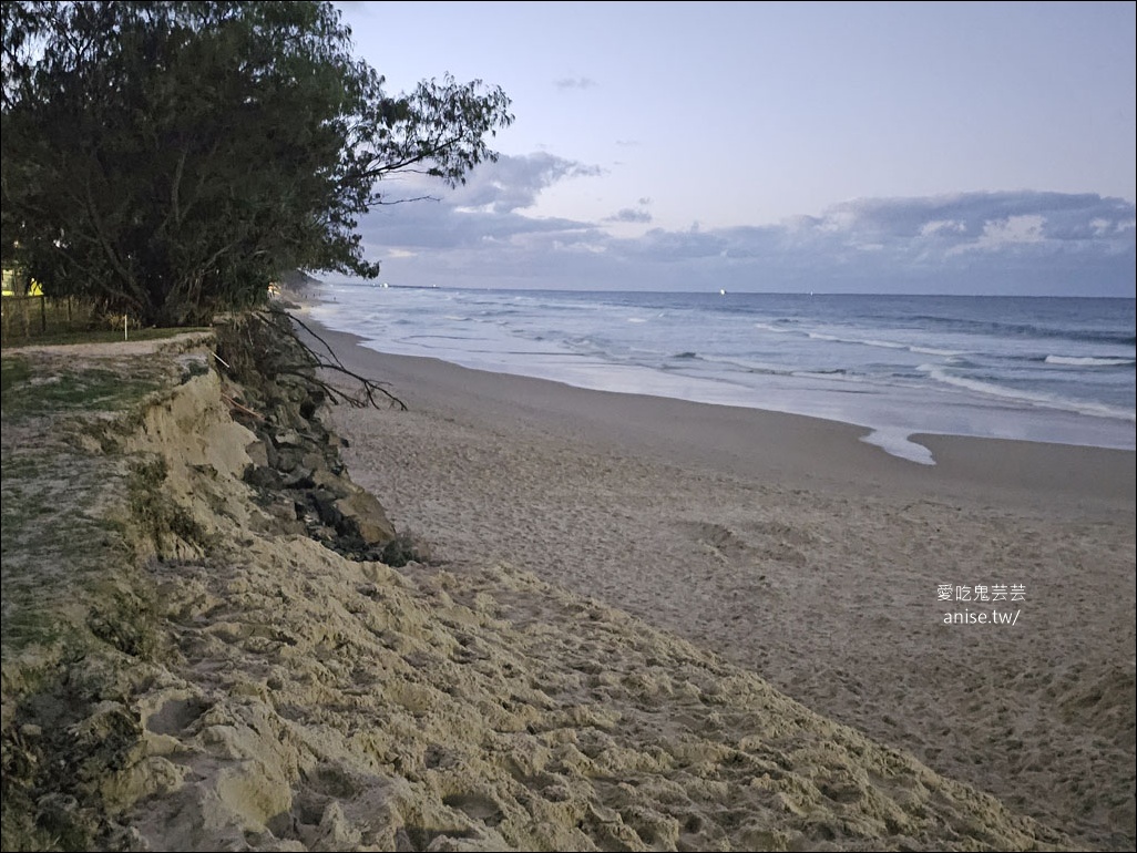 黃金海岸半日遊 | 鵜鶘餵食秀、海港城outlet、野生袋鼠、沙灘變斷崖