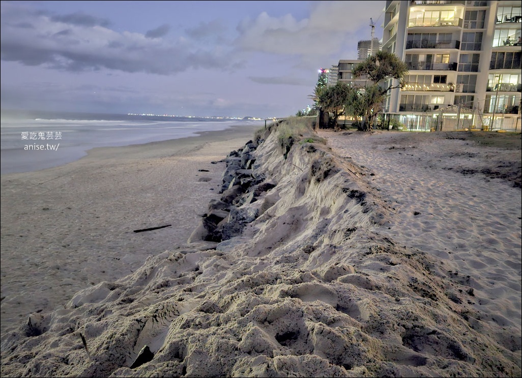 黃金海岸半日遊 | 鵜鶘餵食秀、海港城outlet、野生袋鼠、沙灘變斷崖
