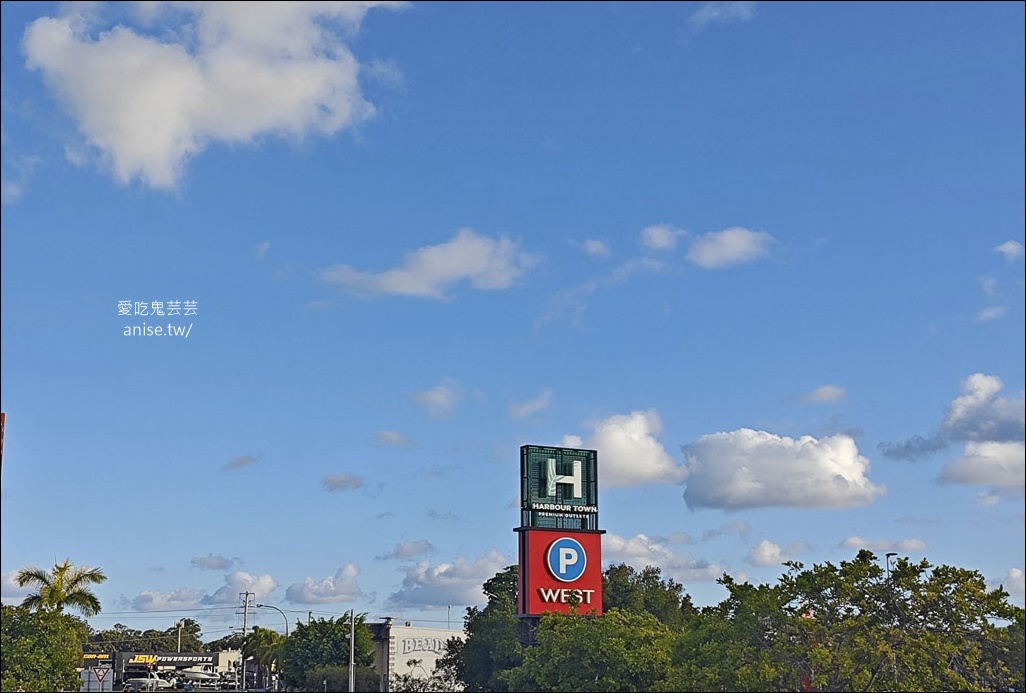 黃金海岸半日遊 | 鵜鶘餵食秀、海港城outlet、野生袋鼠、沙灘變斷崖