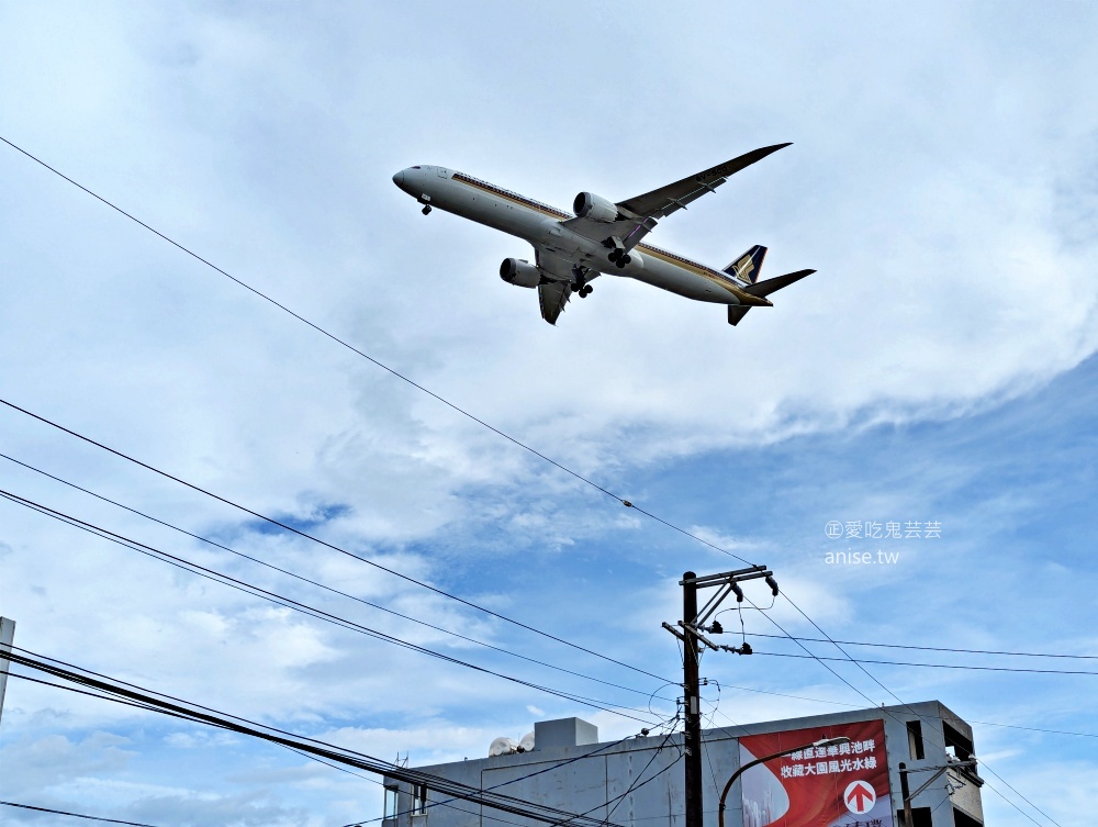 鮮肉蔥油餅 (高雄蔥油餅)，桃園大園看飛機吃美食(姊姊食記)
