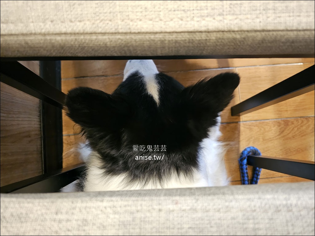 小六食堂 |  客製化無菜單料理，2025 父親節大餐 (寵物友善)