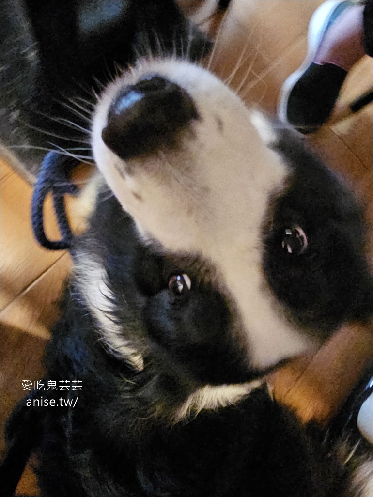 小六食堂 |  客製化無菜單料理，2025 父親節大餐 (寵物友善)