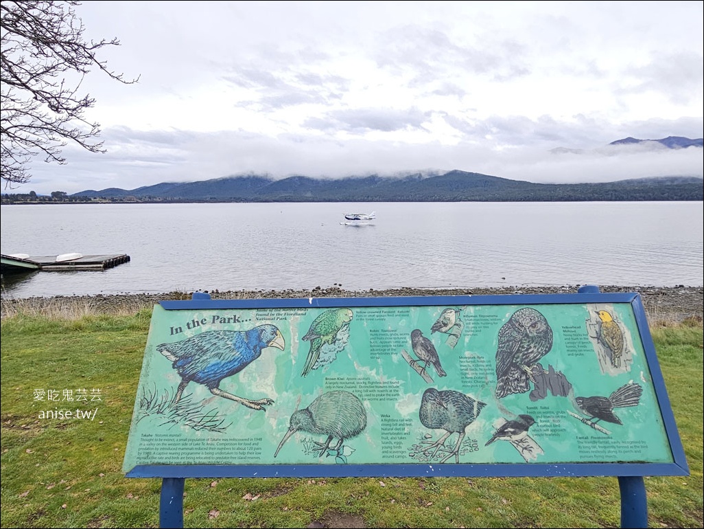 蒂阿瑙Te Anau住宿 | 蒂阿瑙金斯蓋特飯店(Kingsgate Hotel Te Anau)，蒂阿瑙湖景的美麗飯店