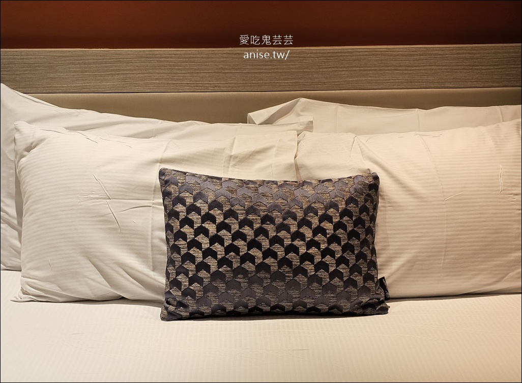 但尼丁住宿 | 達尼丁金蓋特飯店 (Kingsgate Hotel Dunedin)，地理位置絕佳