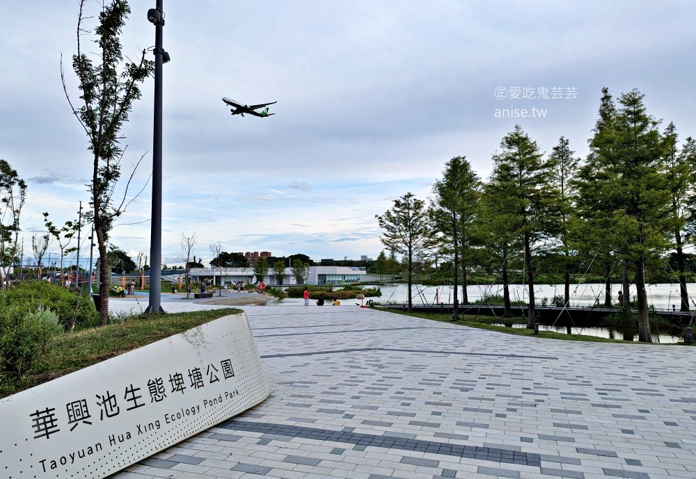 華興池生態埤塘公園，宛如迷你版摩西分海，桃園大園親子景點(姊姊遊記)