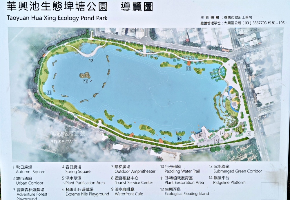 華興池生態埤塘公園，宛如迷你版摩西分海，桃園大園親子景點(姊姊遊記)