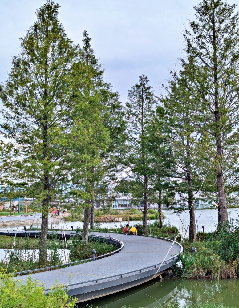 華興池生態埤塘公園，宛如迷你版摩西分海，桃園大園親子景點(姊姊遊記)