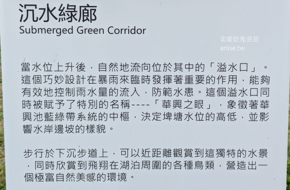 華興池生態埤塘公園，宛如迷你版摩西分海，桃園大園親子景點(姊姊遊記)