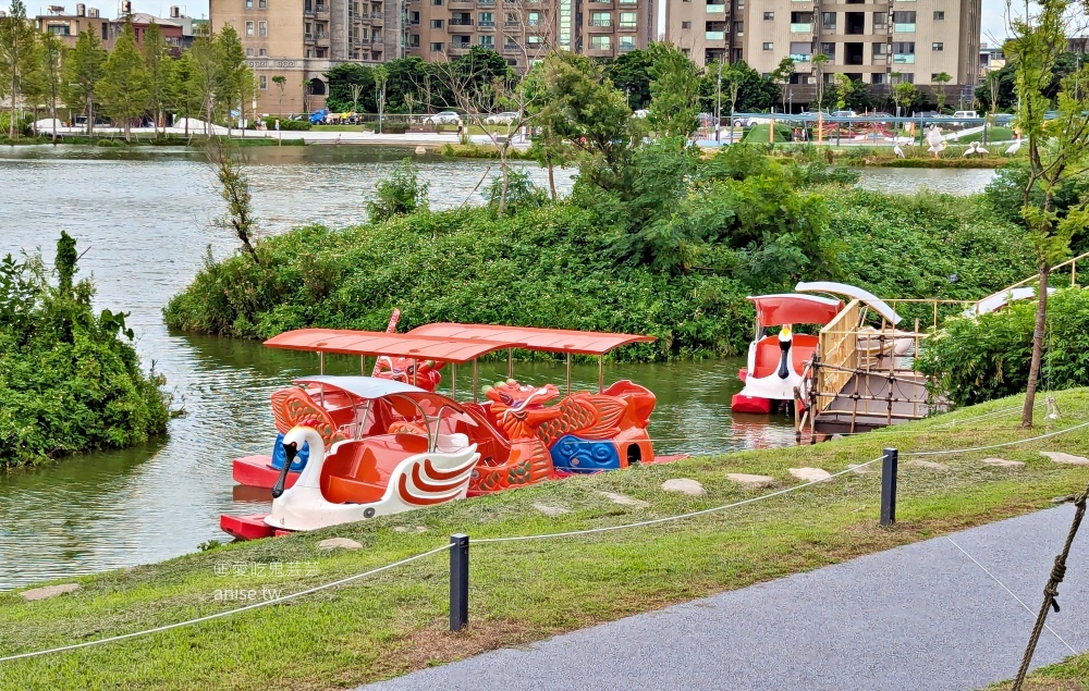 華興池生態埤塘公園，宛如迷你版摩西分海，桃園大園親子景點(姊姊遊記)