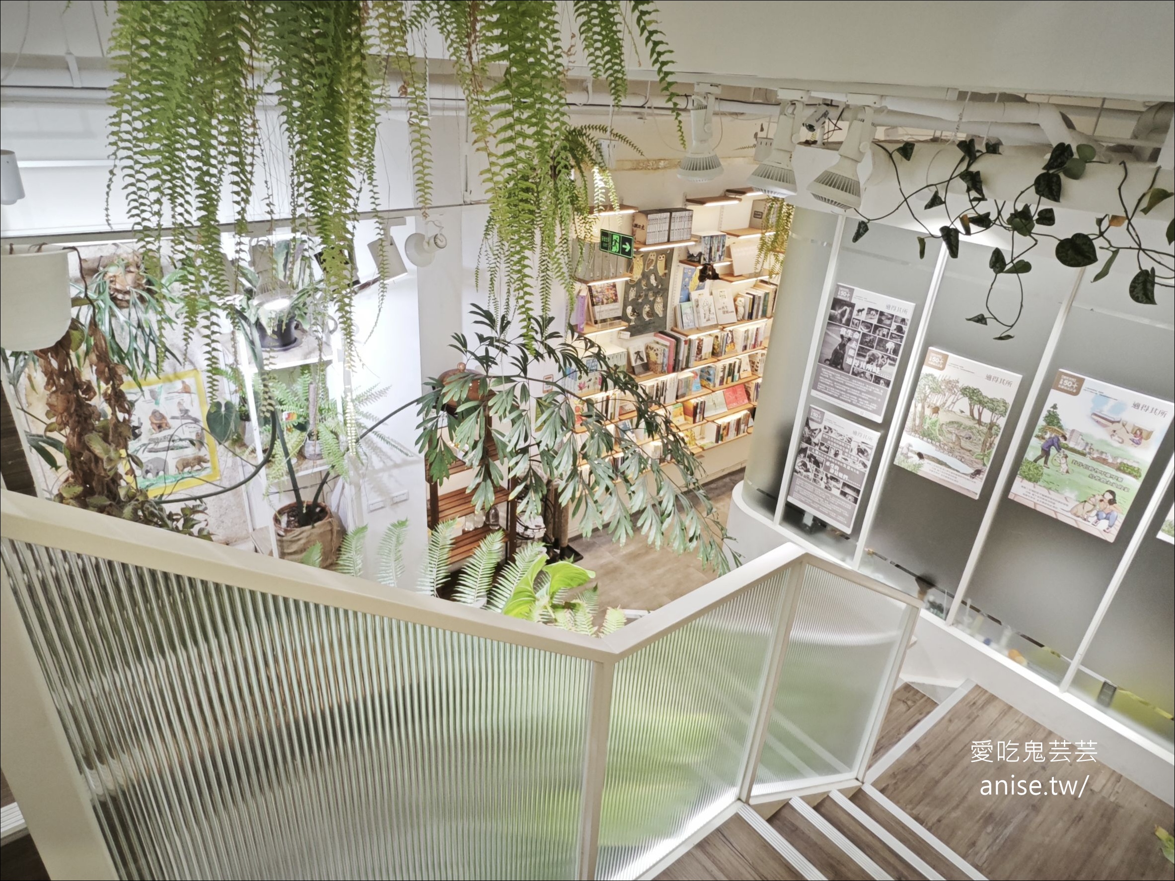 藝文特區美食 | 書帶蕨義式餐廳/獨立書店 (寵物友善)