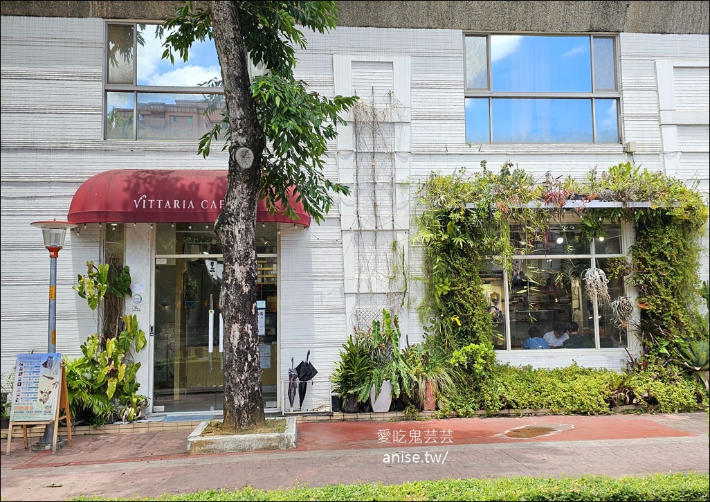 藝文特區美食 | 書帶蕨義式餐廳/獨立書店 (寵物友善)