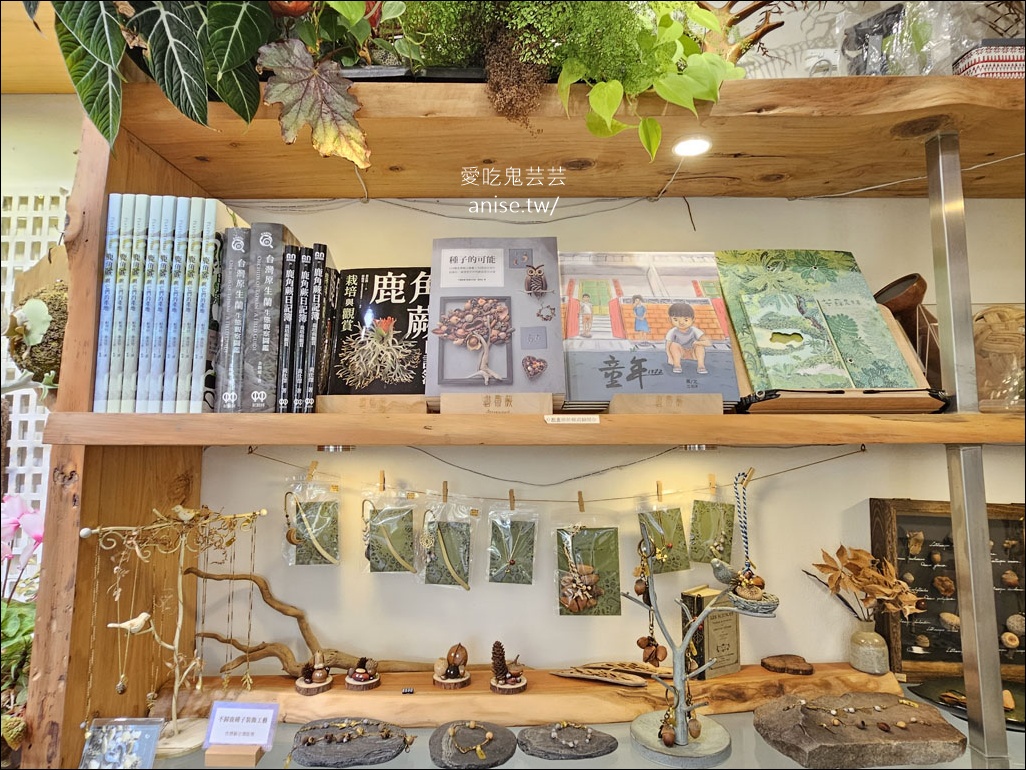 藝文特區美食 | 書帶蕨義式餐廳/獨立書店 (寵物友善)
