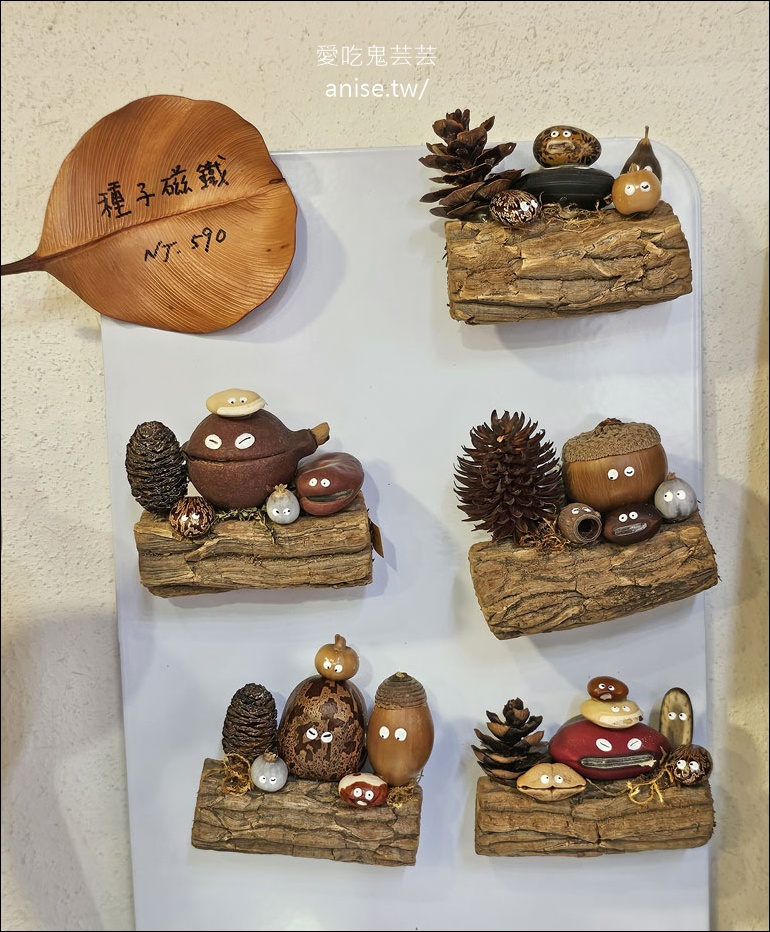 藝文特區美食 | 書帶蕨義式餐廳/獨立書店 (寵物友善)