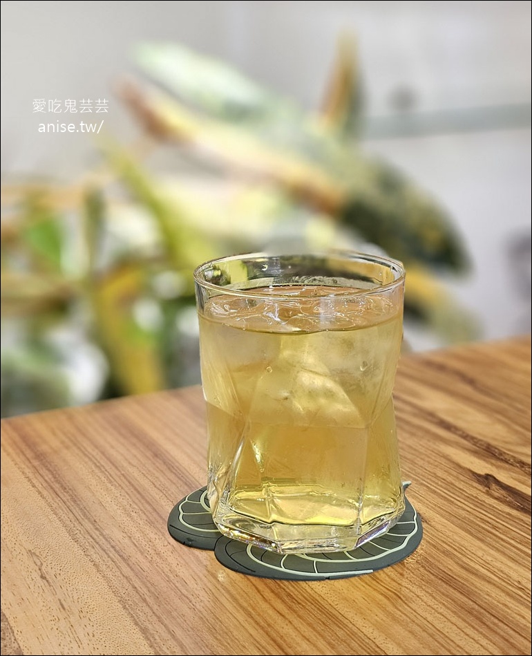 藝文特區美食 | 書帶蕨義式餐廳/獨立書店 (寵物友善)