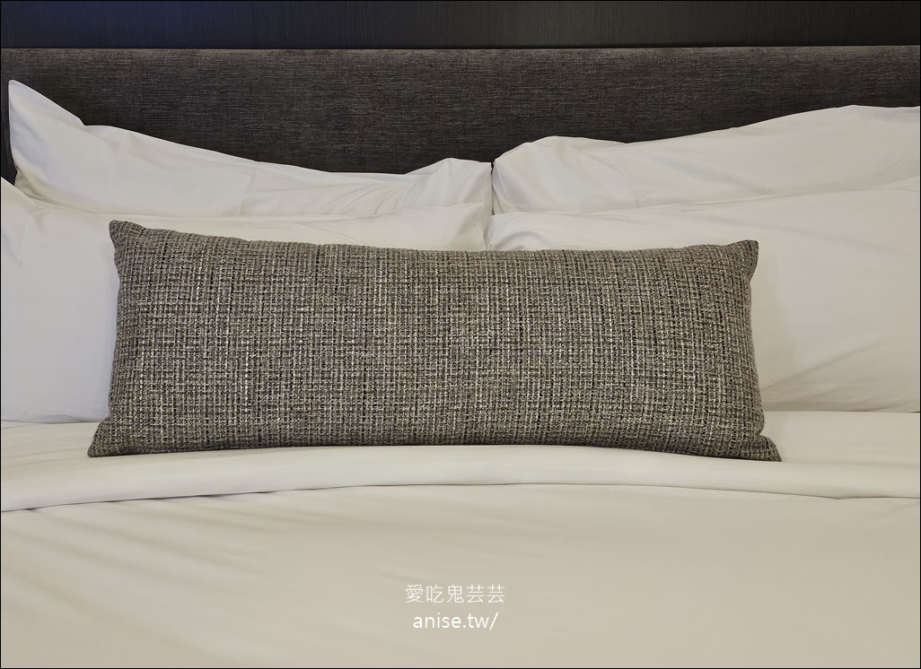 基督城住宿 | 梅菲爾飯店 The Mayfair，植物園旁精緻舒適的五星酒店