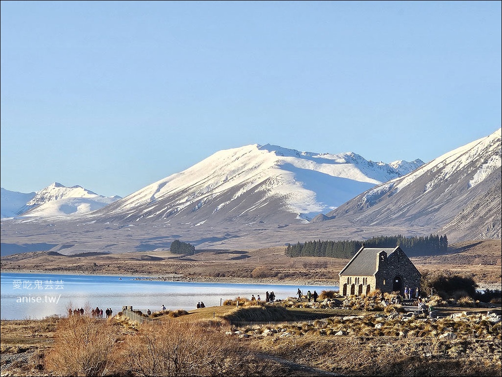 蒂卡波湖住宿 | 特卡波湖胡椒藍水度假村 (Peppers Bluewater Resort Lake Tekapo)，絕美住宿物超所值！