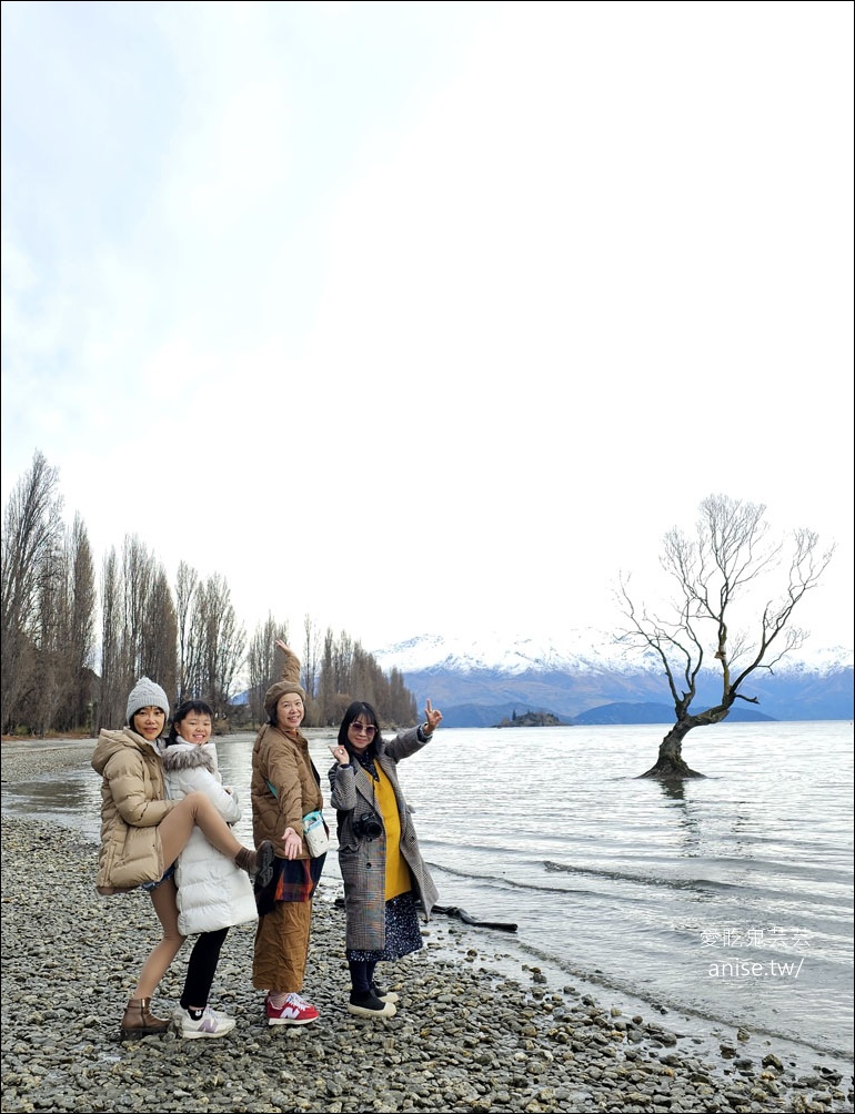 瓦納卡Wanaka住宿 | Lakeside Apartments，超完善的湖畔公寓 (世界上最孤獨的樹)