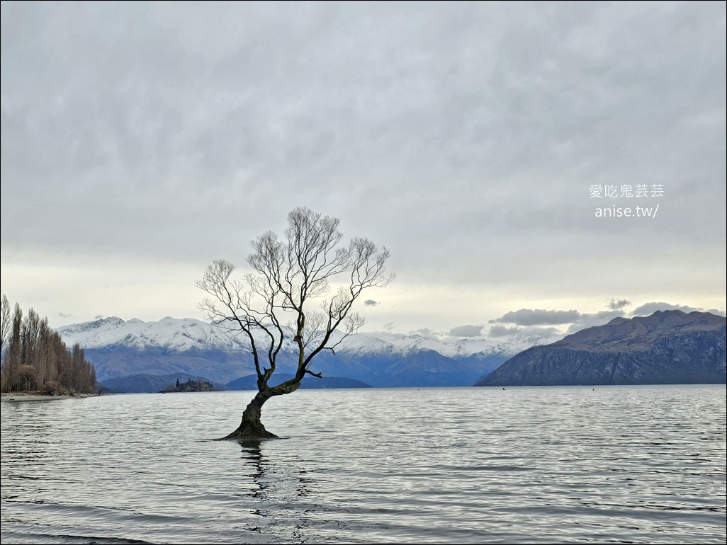 瓦納卡Wanaka住宿 | Lakeside Apartments，超完善的湖畔公寓 (世界上最孤獨的樹)