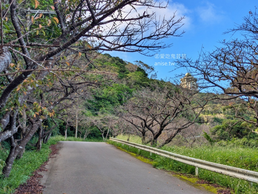 沖繩租車5201314，租車交車還車中文溝通很便利(姊姊遊記)