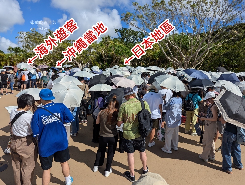 JUNGLIA OKINAWA沖繩，恐龍樂園真實體驗分享(姊姊遊記)