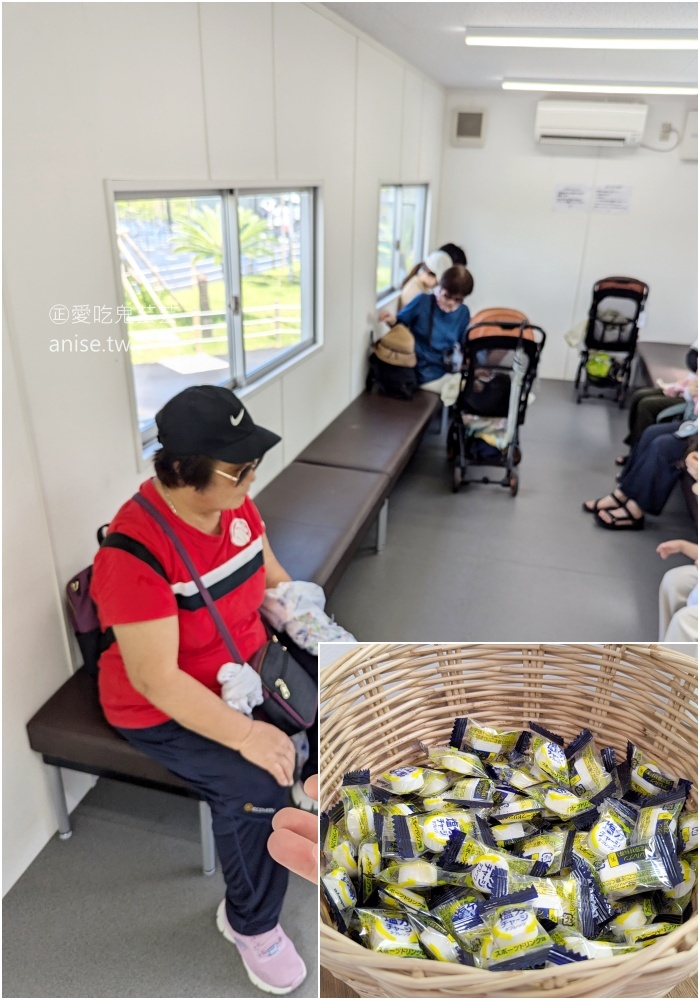 JUNGLIA OKINAWA沖繩，恐龍樂園真實體驗分享(姊姊遊記)