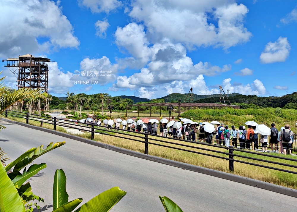 JUNGLIA OKINAWA沖繩，恐龍樂園真實體驗分享(姊姊遊記)