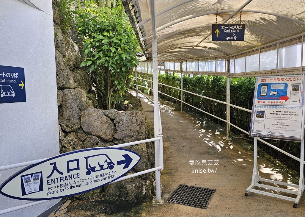 古宇利島半日遊 | 古宇利大橋、古宇利海洋塔、蝦蝦飯