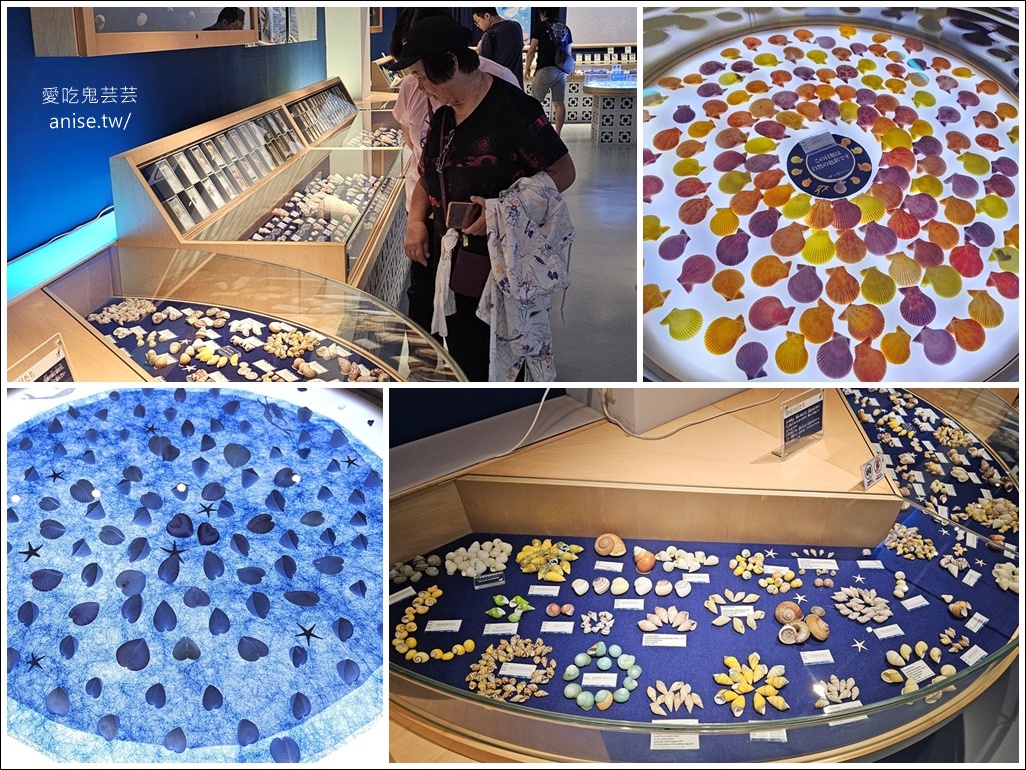 古宇利島半日遊 | 古宇利大橋、古宇利海洋塔、蝦蝦飯