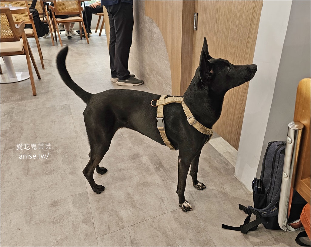 Fly Cafe 敦北店(長庚醫院後方)，肉桂捲和西西里咖啡還是得蒼蠅哥啊！(台北不限時咖啡廳)