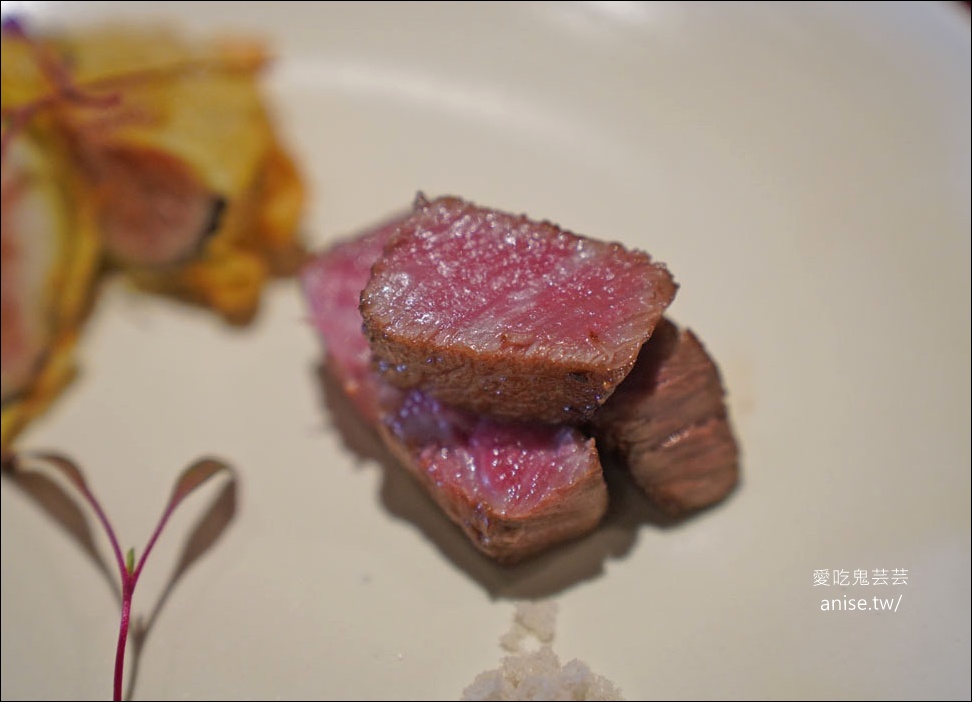 新竹燈燈庵，食藝x花藝x陶藝x茶藝，竹林裡的正統優雅日本會席料理