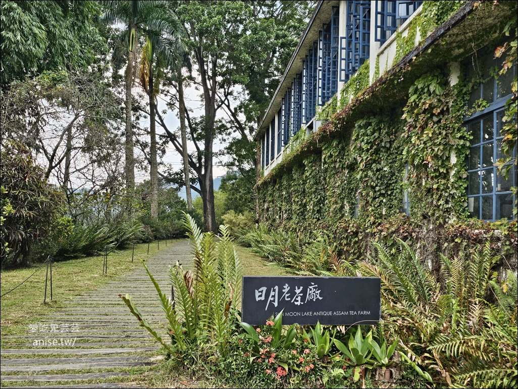 日月茶房@終於吃到日月老茶廠的餐點 (含導覽)，記得提早預約喔！