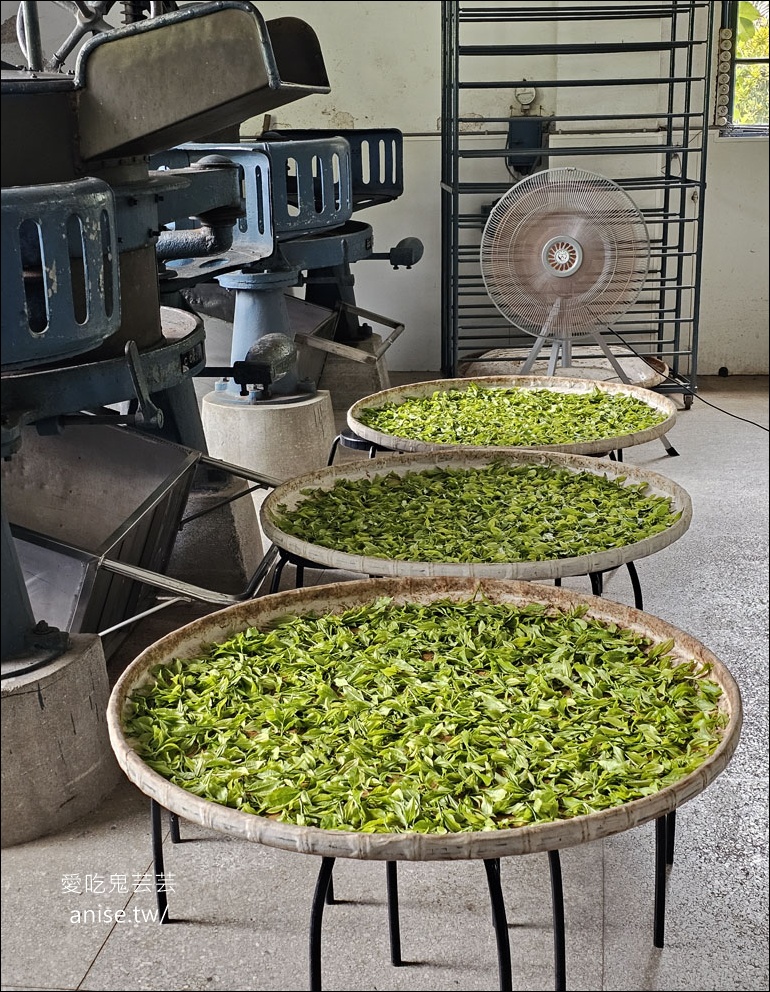 日月茶房@終於吃到日月老茶廠的餐點 (含導覽)，記得提早預約喔！