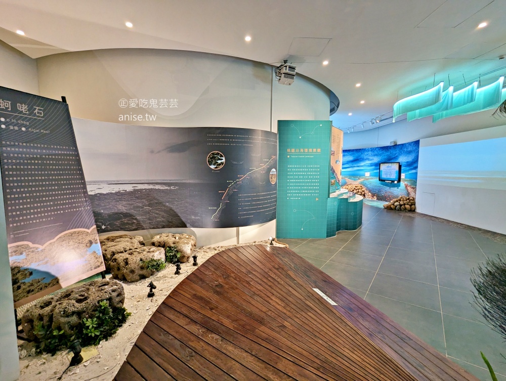 永安海螺文化體驗園區，永安漁港旁室內景點，桃園新屋雨天備案(姊姊食記)