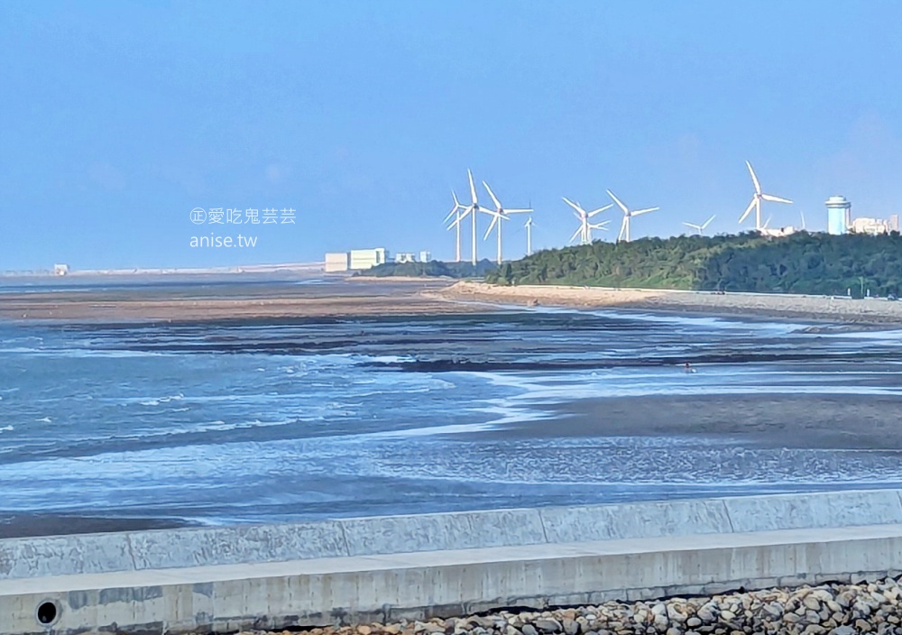 永安海螺文化體驗園區，永安漁港旁室內景點，桃園新屋雨天備案(姊姊食記)