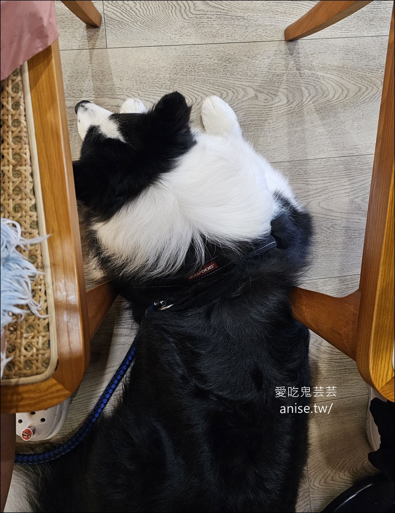 頭城美食 | 「丹 – DanShokudō」，平價可口日式定食 (寵物友善)