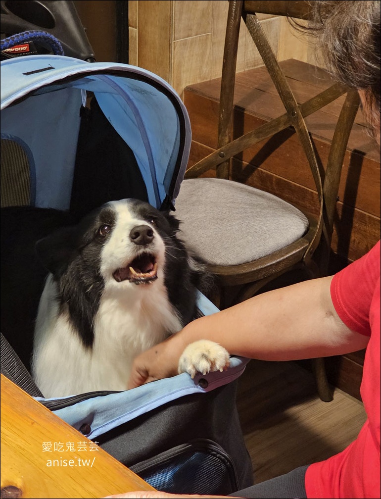 里海咖啡 (里海 cafe’) | 大角蝦、紅喉，還有難得一見的雪鯰！海鮮火鍋也好好吃 (寵物友善)