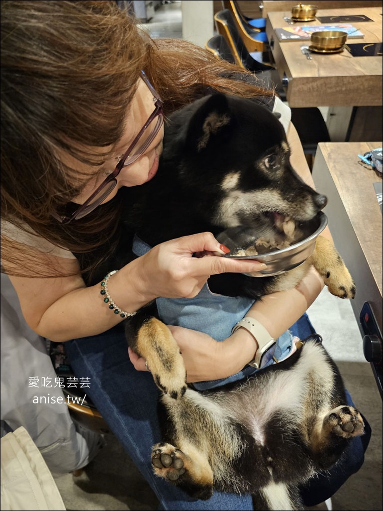 金鍋盃，甘蔗湯頭清甜小火鍋，料好實在、寵物友善(文末菜單)