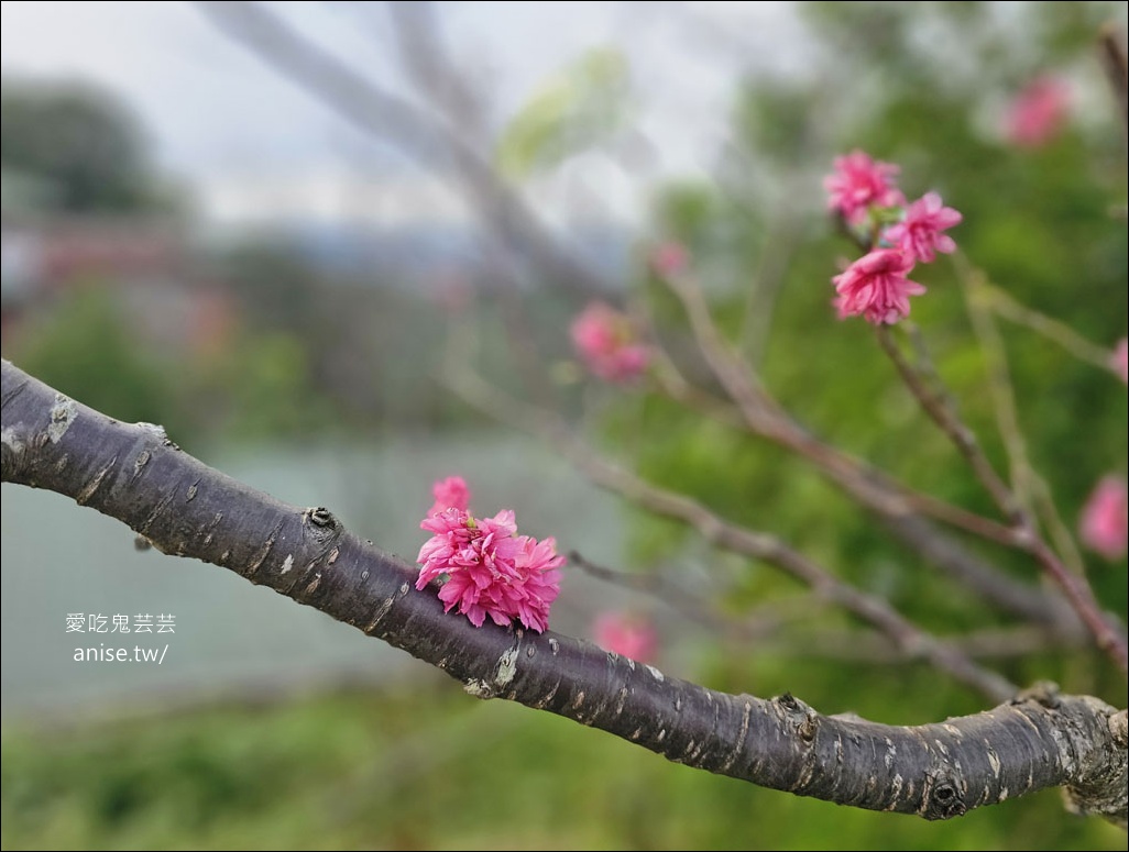 烘爐地(南山福德宮)換錢母，北部求財、招財進寶聖地