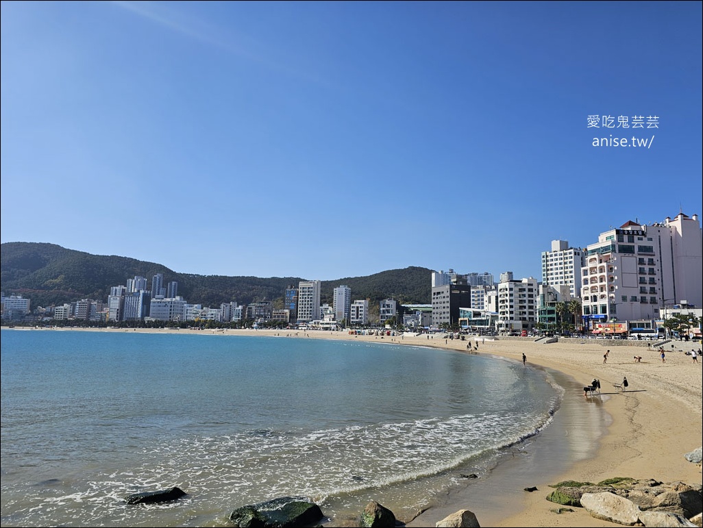 釜山孝親行程規劃 | 釜山國際煙火節、紅葉、美食孝親包車之旅 (圖文、資訊多)